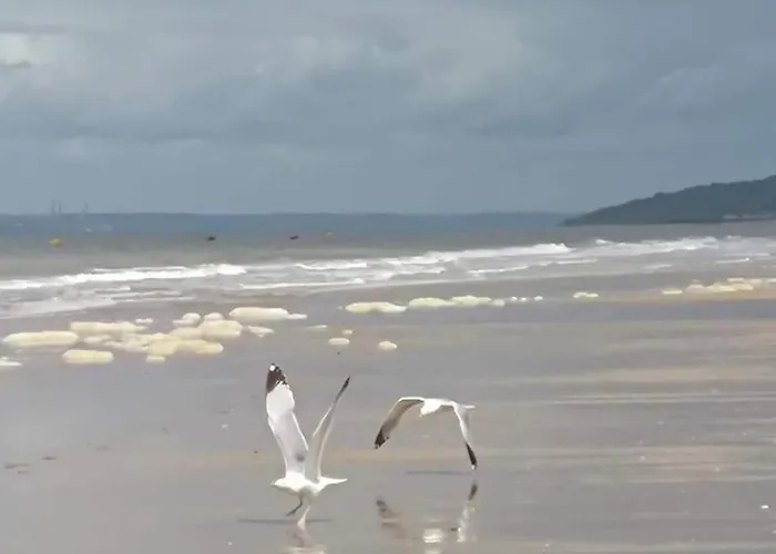 Cosy Avec Balcon 4 Personnes Max